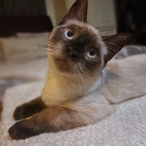 Meet your Posher, Michelle - Picture 9 of 11